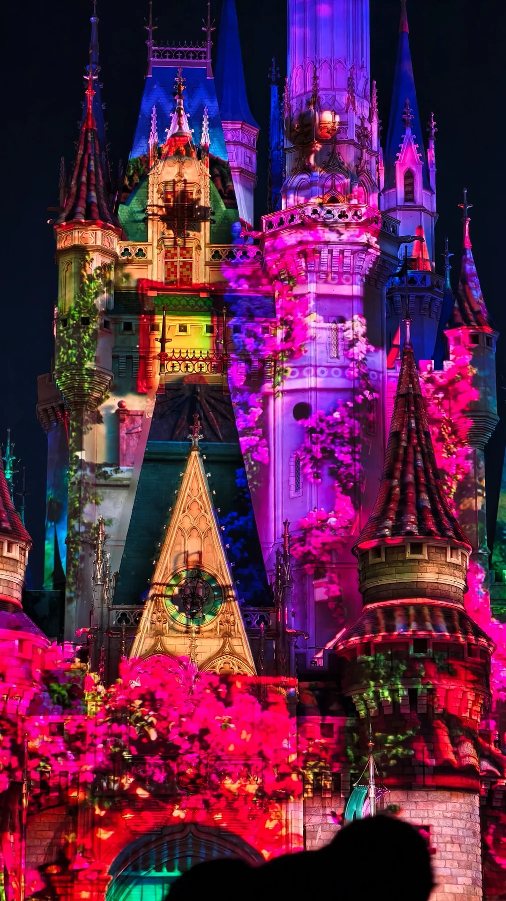 ภาพและแสงสีฉายบน Cinderella Castle ระหว่างโชว์ Reach for the Stars