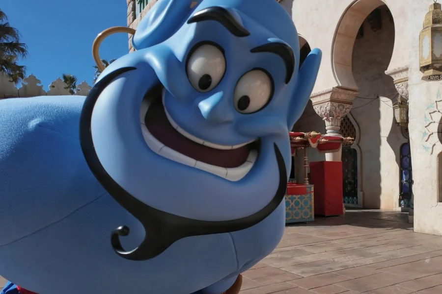 Genie เข้ามาเล่นกับกล้อง