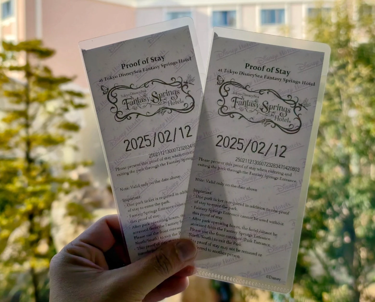 บัตร Proof of Stay ของวันที่ 12 กุมภาพันธ์ 2025